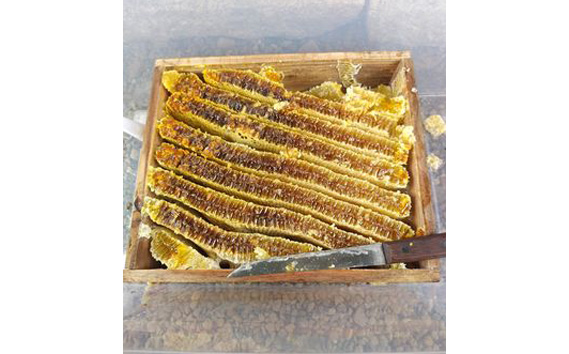 国産蜂蜜　約250ml