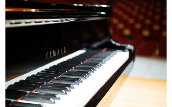 ピアノ練習  文化の里花咲きホール半日使用