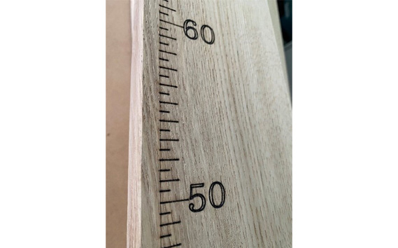 木の身長計（クルミ）