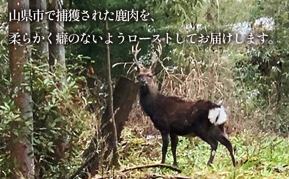 鹿肉ロースト　200g