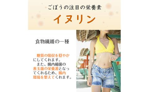 美濃山県元気ファーム　山県市産ごぼう茶120g