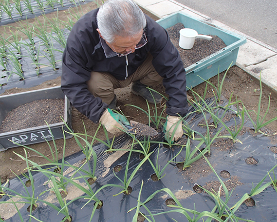 ガンコ親父のこだわり黒にんにく（約40g×6個）