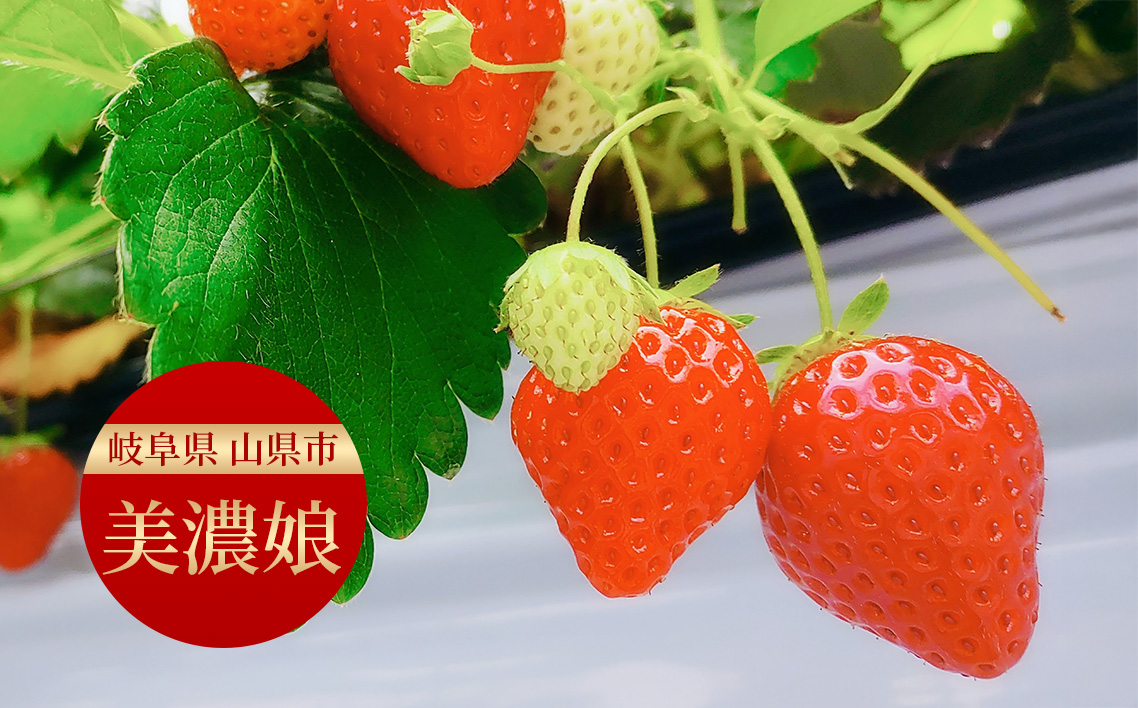 美濃娘のバターサンド 1箱 5個入り