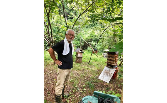 国産蜂蜜　約250ml