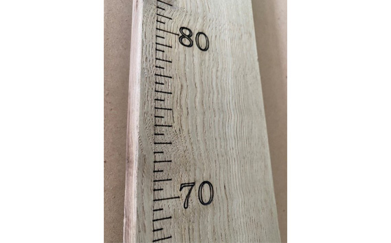 木の身長計（クルミ）