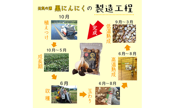 元気の源　黒にんにく　240g