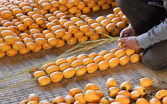 伊自良の高級干し柿 3種食べ比べセット 約630g