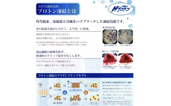 約450g切り落とし【3ヵ月毎定期便】氷温（R）熟成　飛騨牛A5等級（前バラ、肩ロース使用）　全4回
