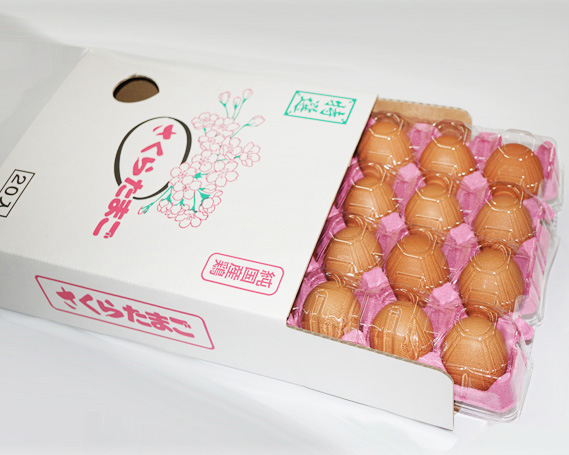 【山田養鶏】濃厚卵・若鶏小玉　食べ比べセット