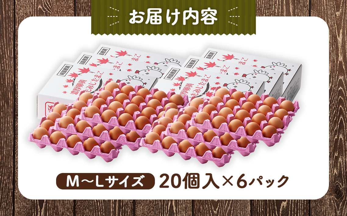 【山田養鶏】濃厚卵黄もみじたまご【120個入り】