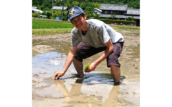 【530g×2本】甘酒『トキノタカ』岐阜県山県市産ハツシモ100％使用