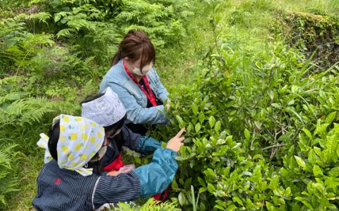四季折々の田舎暮らし体験付き宿泊券