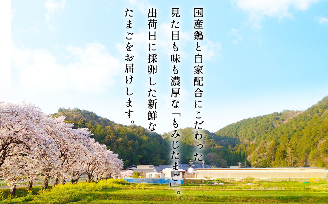 濃厚卵黄もみじたまご【60個入り】【3ヶ月連続】定期便