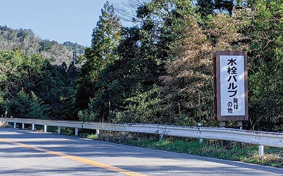 バブリーキッチンシャワー