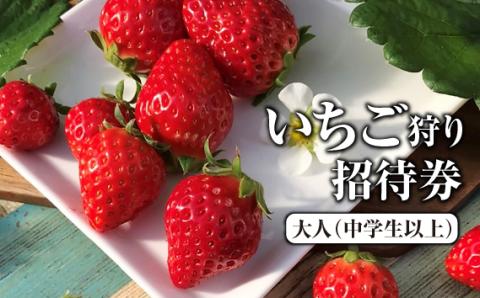 いちご狩り招待券　大人（中学生以上）