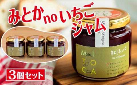 みとかnoいちごジャム3個セット