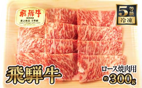 飛騨牛ロース焼肉用 約300g（5等級/冷凍）