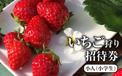 いちご狩り招待券　小人（小学生）