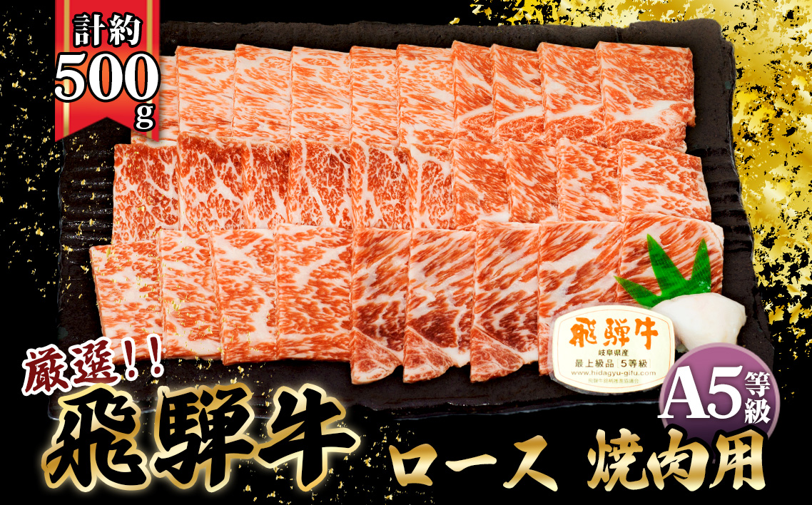 店主こだわり雌牛 飛騨牛A5等級　ロース　焼肉用　約500g
