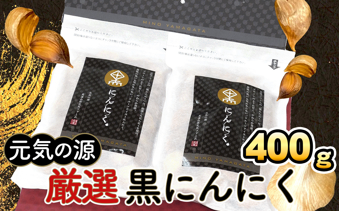 元気の源　厳選黒にんにく計400g