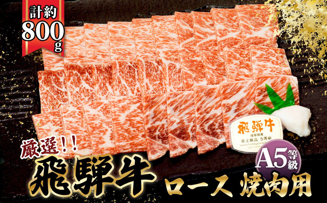 店主こだわり雌牛 飛騨牛A5等級　ロース　焼肉用　約800g