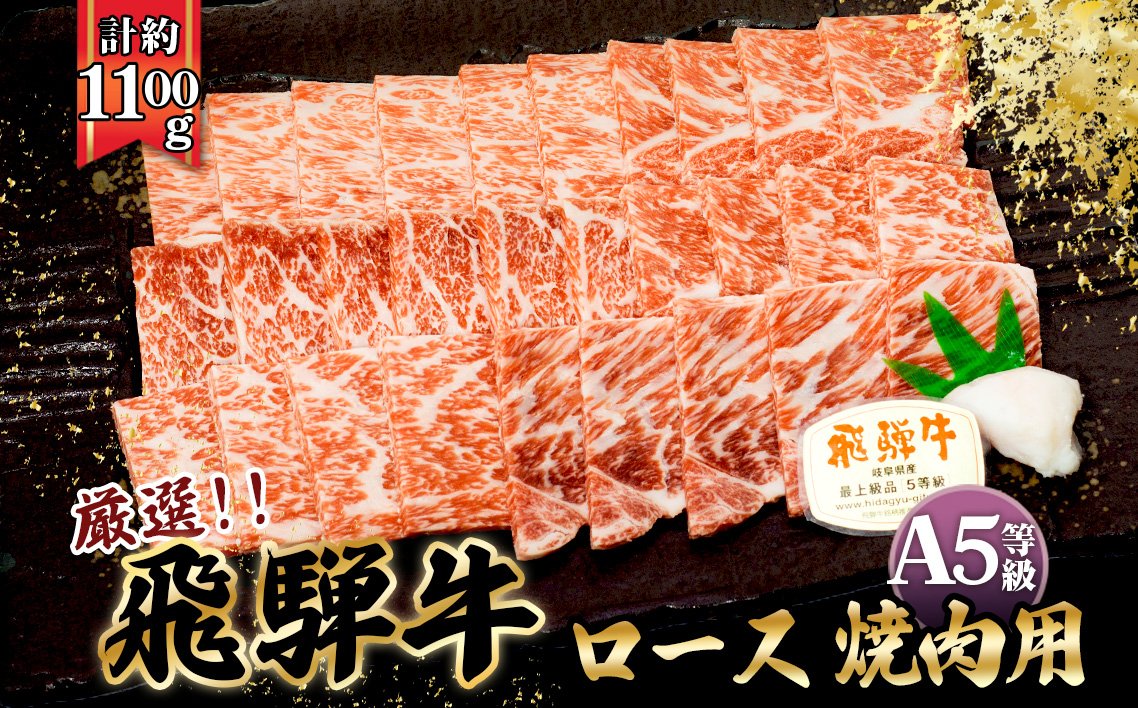 店主こだわり雌牛 飛騨牛A5等級　ロース　焼き肉用　約1.1kg