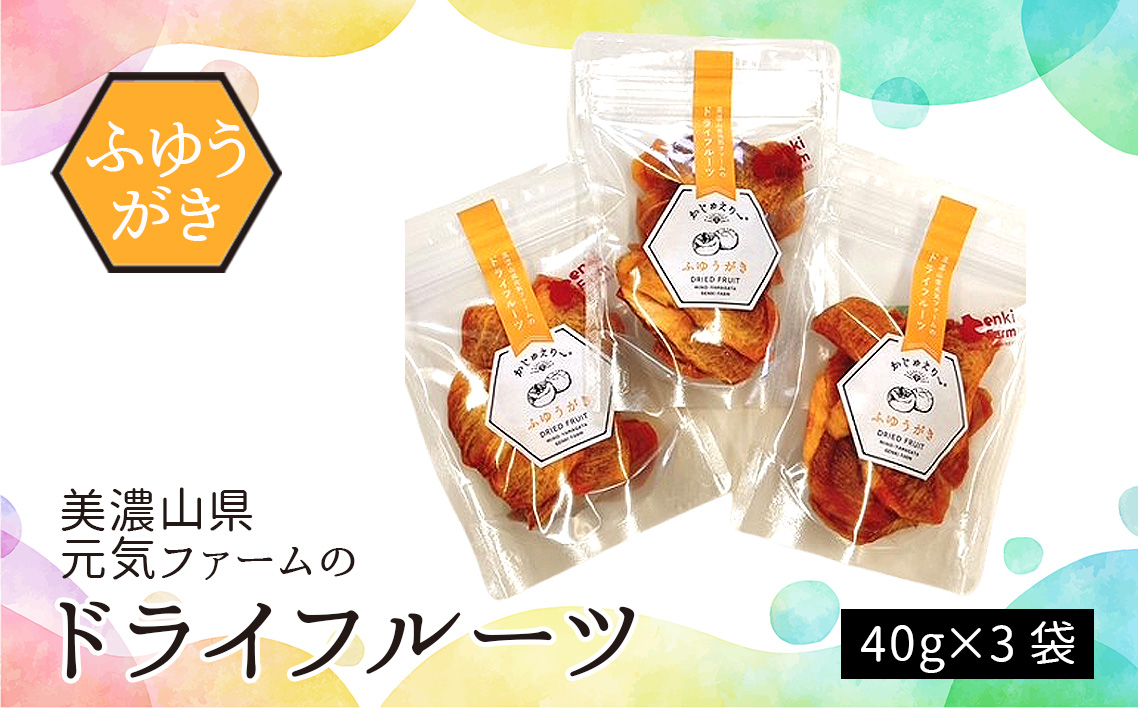 美濃山県元気ファームのドライフルーツかじゅえりー　ふゆうがき