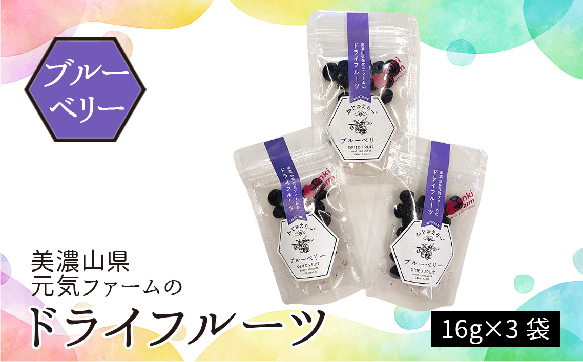 美濃山県元気ファームのドライフルーツかじゅえりー　ブルーベリー