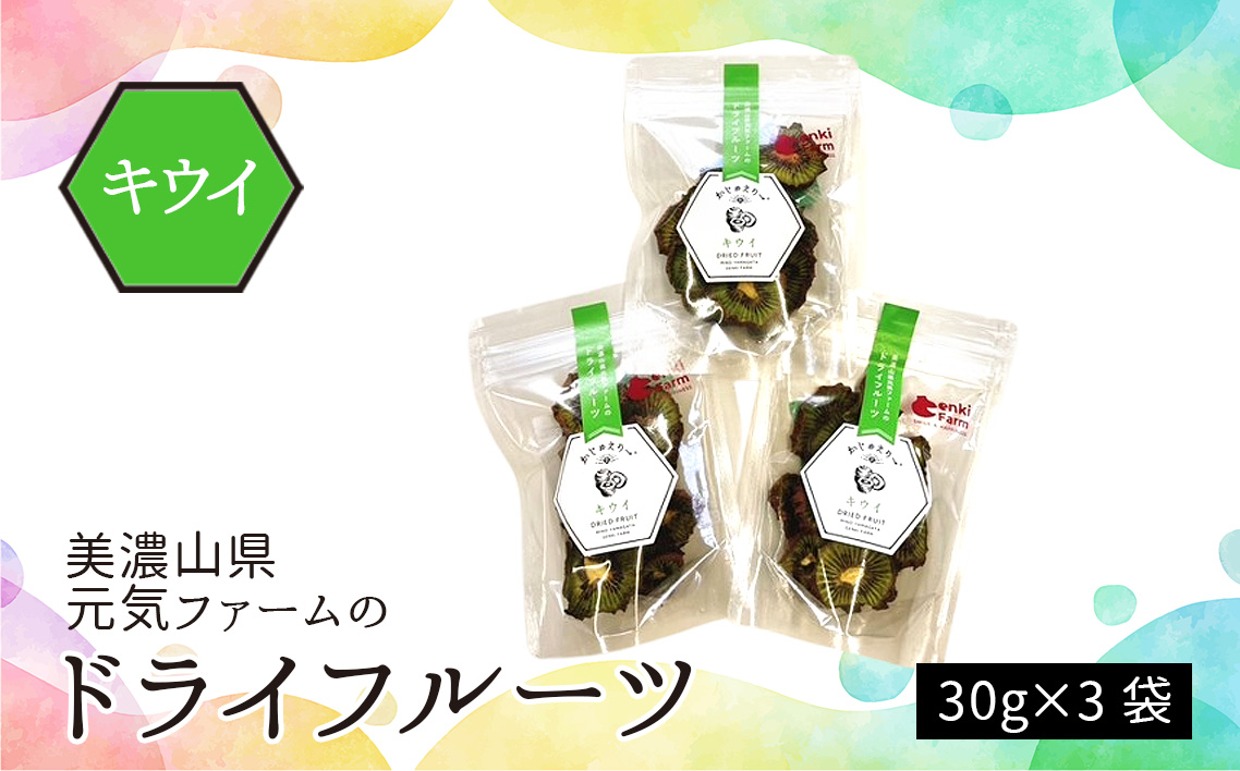 美濃山県元気ファームのドライフルーツかじゅえりー　キウイ