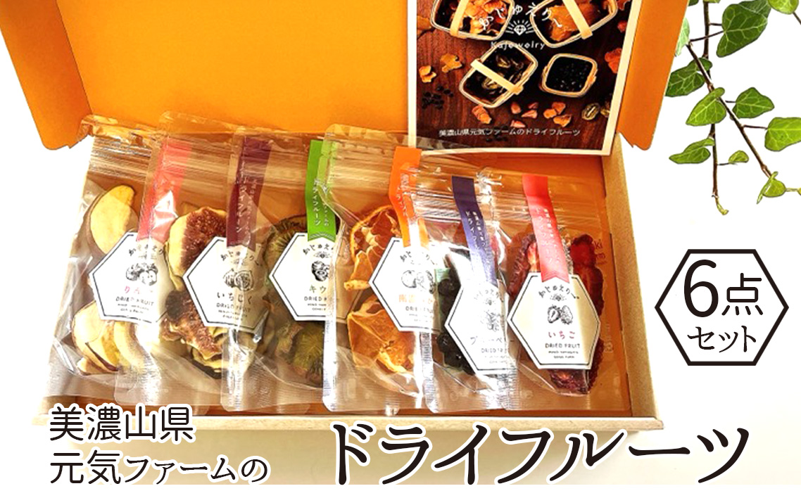 美濃山県元気ファームのドライフルーツ　かじゅえりー　6点セット