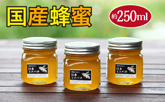 国産蜂蜜　約250ml
