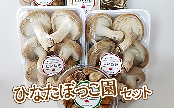 ひなたぼっこ園セット