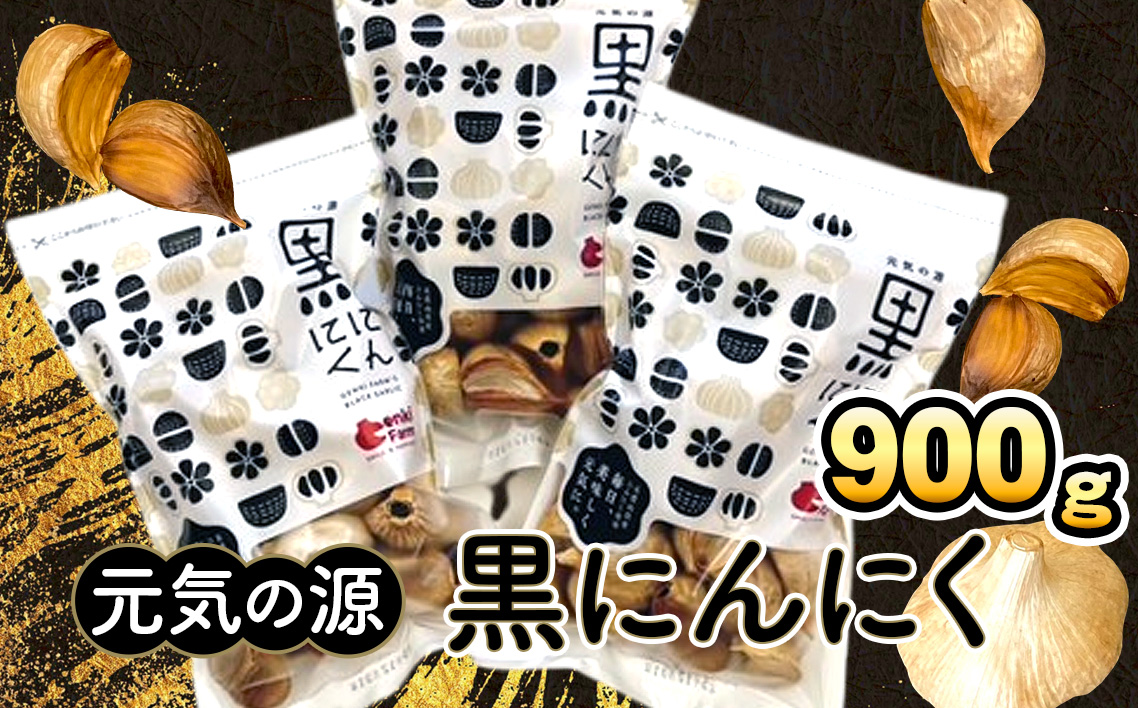 元気の源　黒にんにく　900g