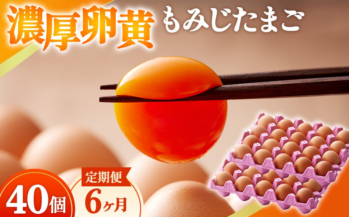 濃厚卵黄もみじたまご【40個入り】【6ヶ月連続】定期便