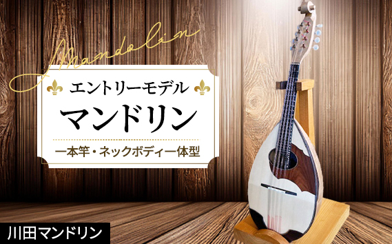 【エントリーモデル】マンドリン