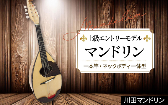 【上級エントリーモデル】マンドリン