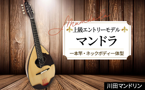 【上級エントリーモデル】マンドラ