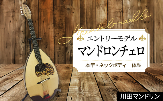 【エントリーモデル】マンドロンチェロ