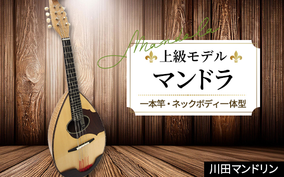 【上級モデル】マンドラ