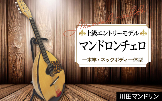 【上級エントリーモデル】マンドロンチェロ