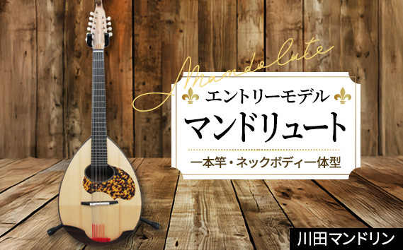 【エントリーモデル】マンドリュート