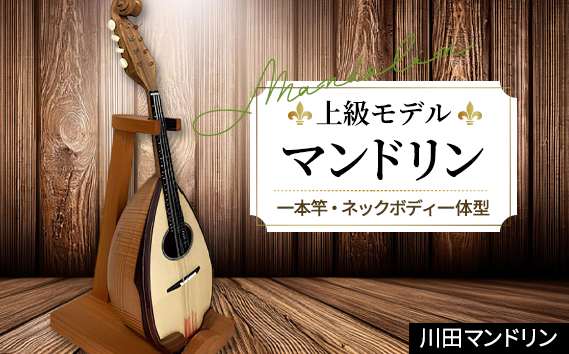 【上級モデル】マンドリン