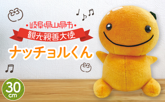 ナッチョルくんぬいぐるみ30cm