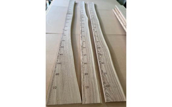 木の身長計（クルミ）