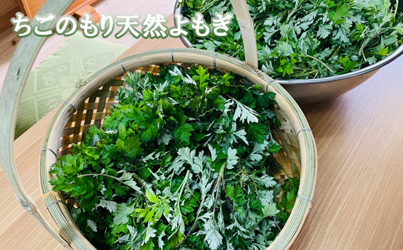 ちごのもり天然よもぎ