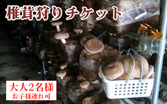 椎茸狩りチケット