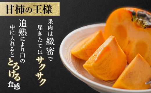 【富有柿の発祥の地　瑞穂市！！】富有柿 贈答用 2L×12個入り｜果物類 ※離島への配送不可 ※2025年11月下旬頃より順次発送予定