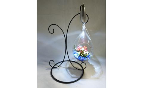 多肉植物　アジアン・プランツルーフとナイトテラリウムしずくのセット インテリア 照明 ライト 　※2025年7月中旬頃より順次発送予定　※離島への配送不可