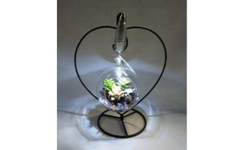 多肉植物　アジアン・プランツバードとナイトテラリウムハートのセット インテリア 照明 ライト 　※2025年7月中旬頃より順次発送予定　※離島への配送不可