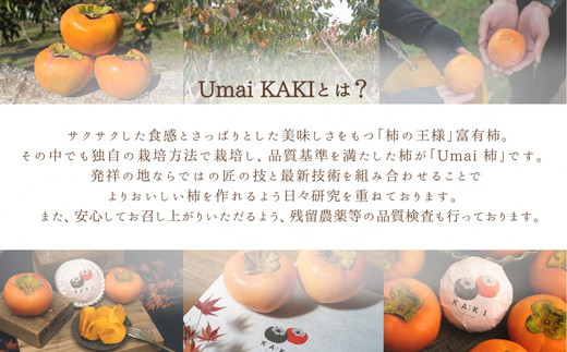 Umai 柿 富有 12玉 3.5kg※2025年11月中旬～12月中旬頃に順次発送予定